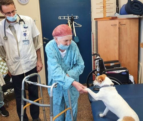 פיילוט לשילוב כלבים במחלקת שיקום גריאטרי של המרכז הרפואי פדה-פוריה